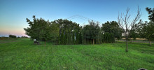 15-07-20-ZD