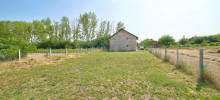 06-06-25-01-ZD
